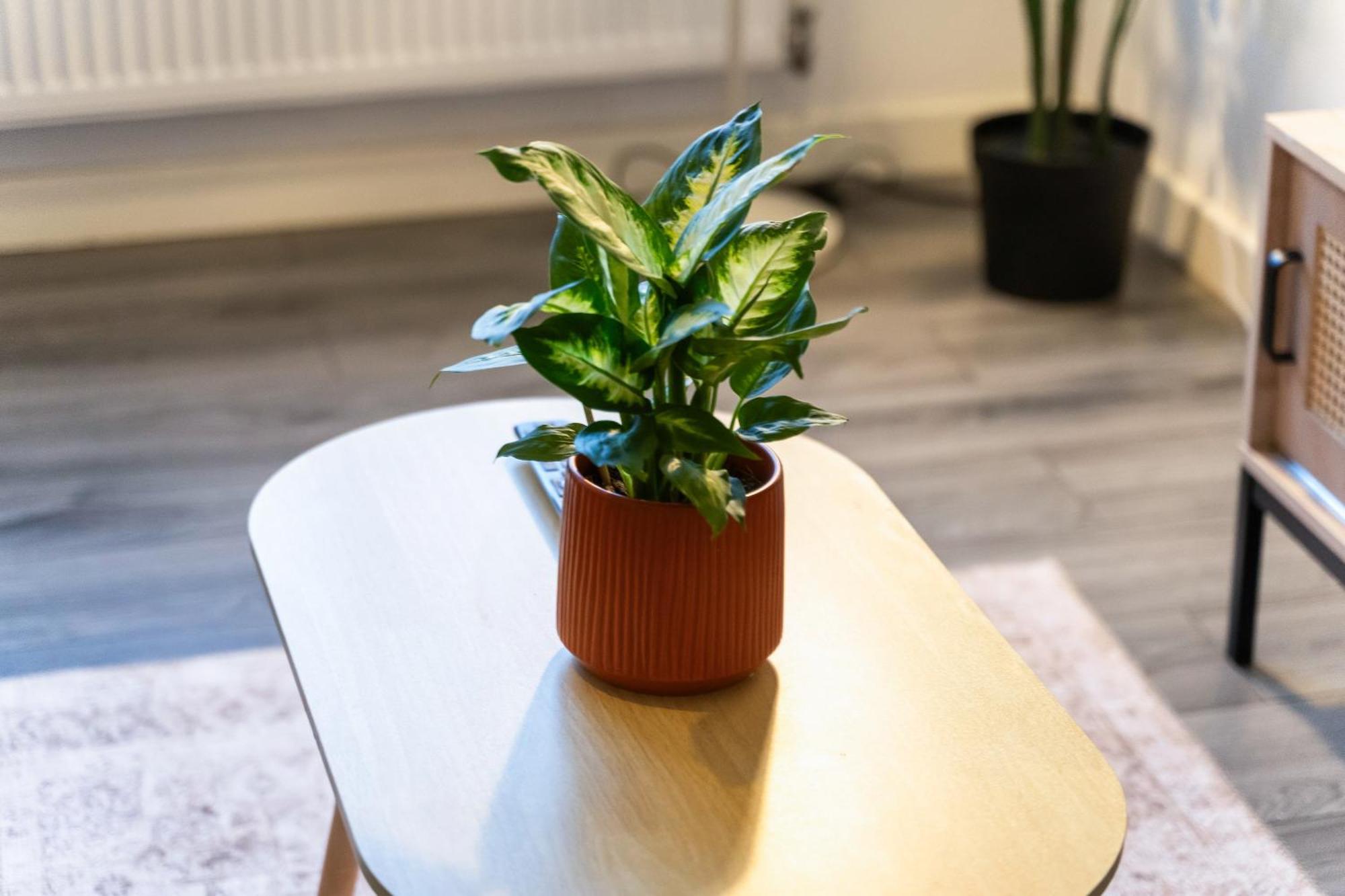 Stylish New Apartment - Free Wifi & Netflix - Top Rated - 3Mh Cradley Heath Екстериор снимка